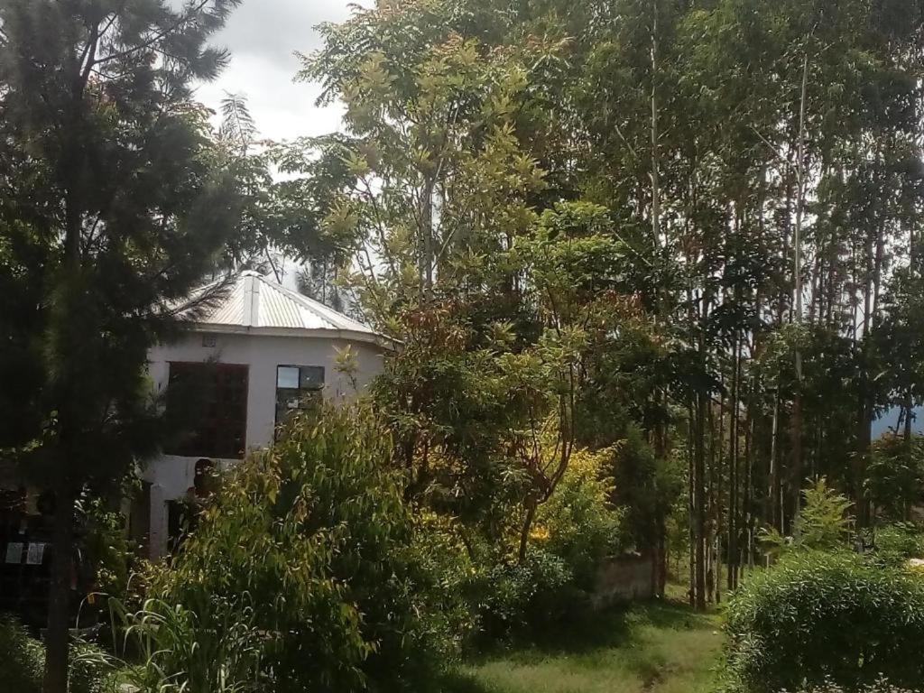 Jungle Lodge & Camping Site Arusha Exterior photo